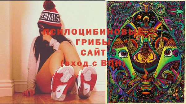 метамфетамин Верея