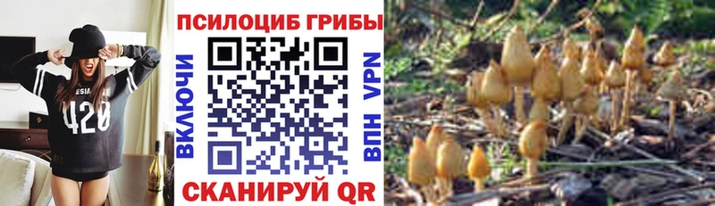 Галлюциногенные грибы прущие грибы  ссылка на мегу ссылки  Благовещенск 